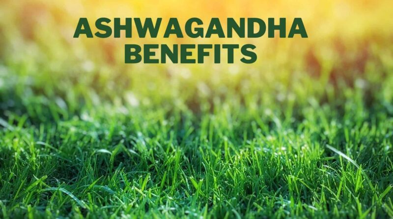 Key Health Benefits Of Ashwagandha
