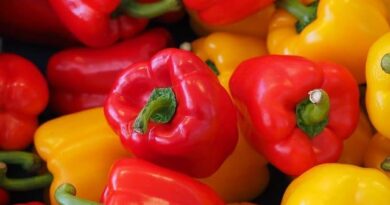 10 Best Health Benefits Of Bell Peppers