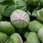 Cabbage Benefits for Health, Skin And Body