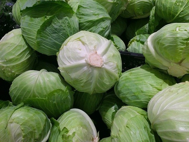 Cabbage Benefits for Health, Skin And Body