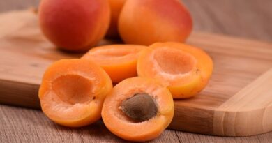 Impressive Health benefits of apricots