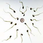 Healthy Foods To Increase Sperm Production