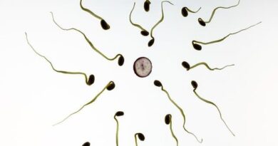 Healthy Foods To Increase Sperm Production
