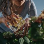7 healthy Vegetables to grow at home