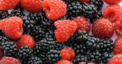 14 Impressive Benefits Of Raspberries