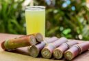 Incredible benefits of Sugarcane juice