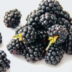 amazing health benefits of blackberries