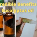Incredible Benefits of Eucalyptus