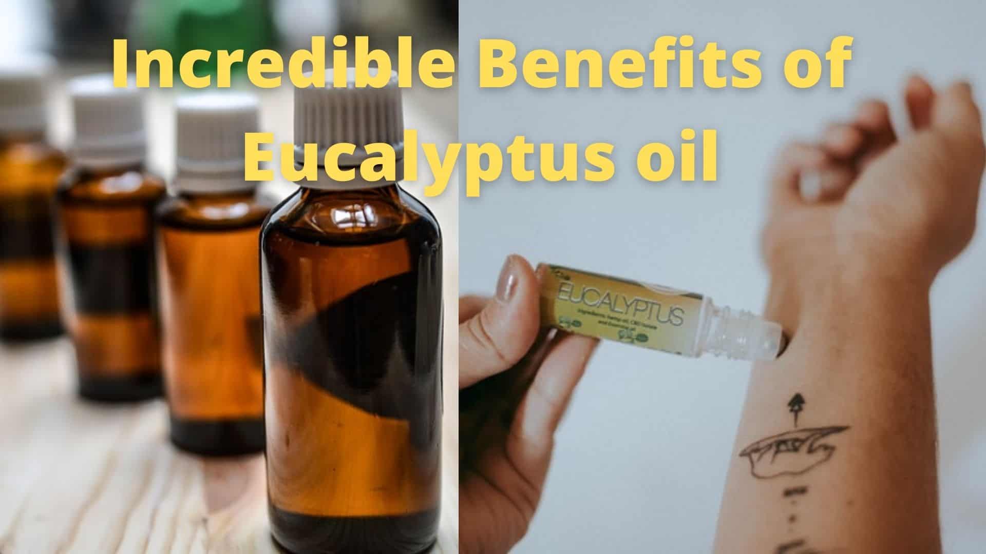 Incredible Benefits of Eucalyptus How to Boost Your Immunity