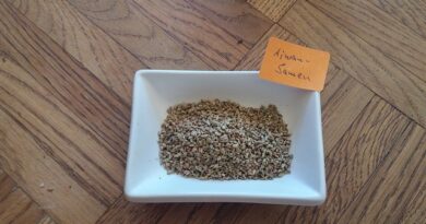 11 Health Benefits of Carom (Ajwain) seeds
