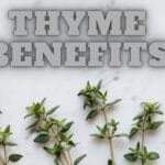 Incredible Health Benefits Of Thyme Leaves