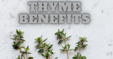 Incredible Health Benefits Of Thyme Leaves