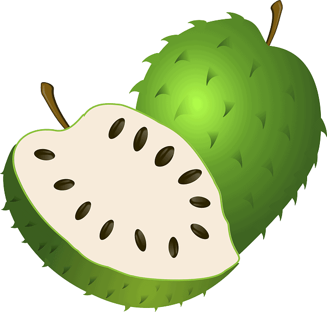 Soursop (Graviola) fruit Health benefits and uses