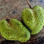 Soursop (Graviola) fruit Health benefits and uses
