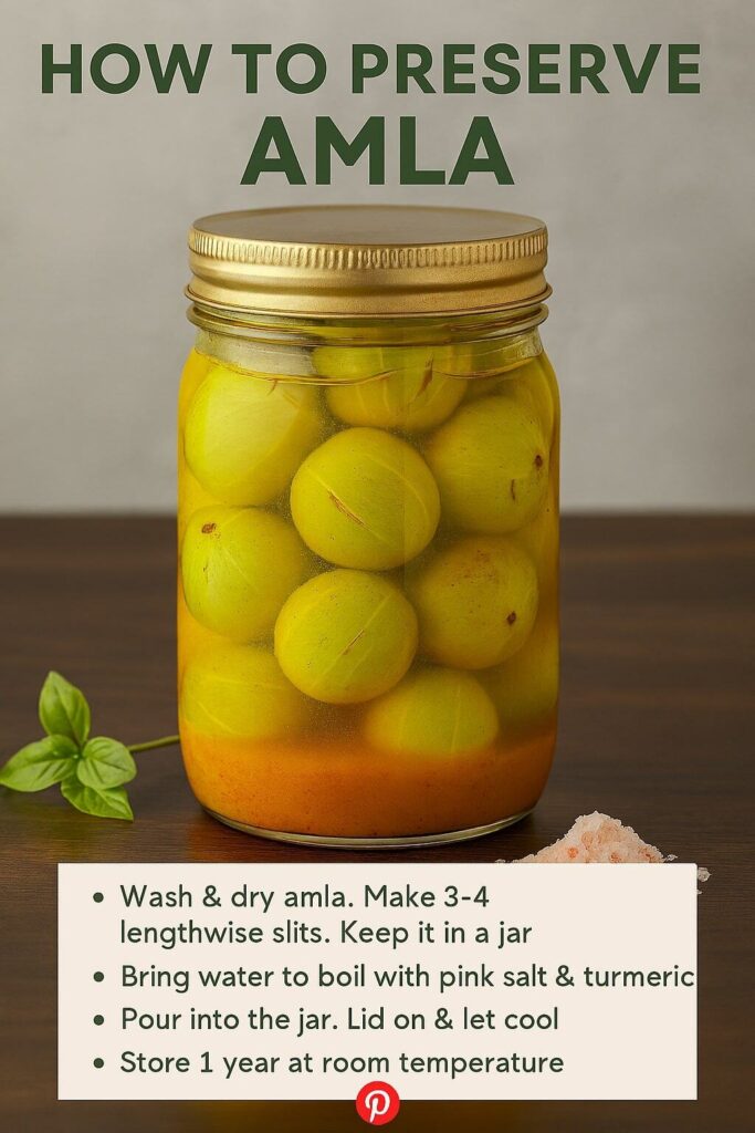 amla preservation method