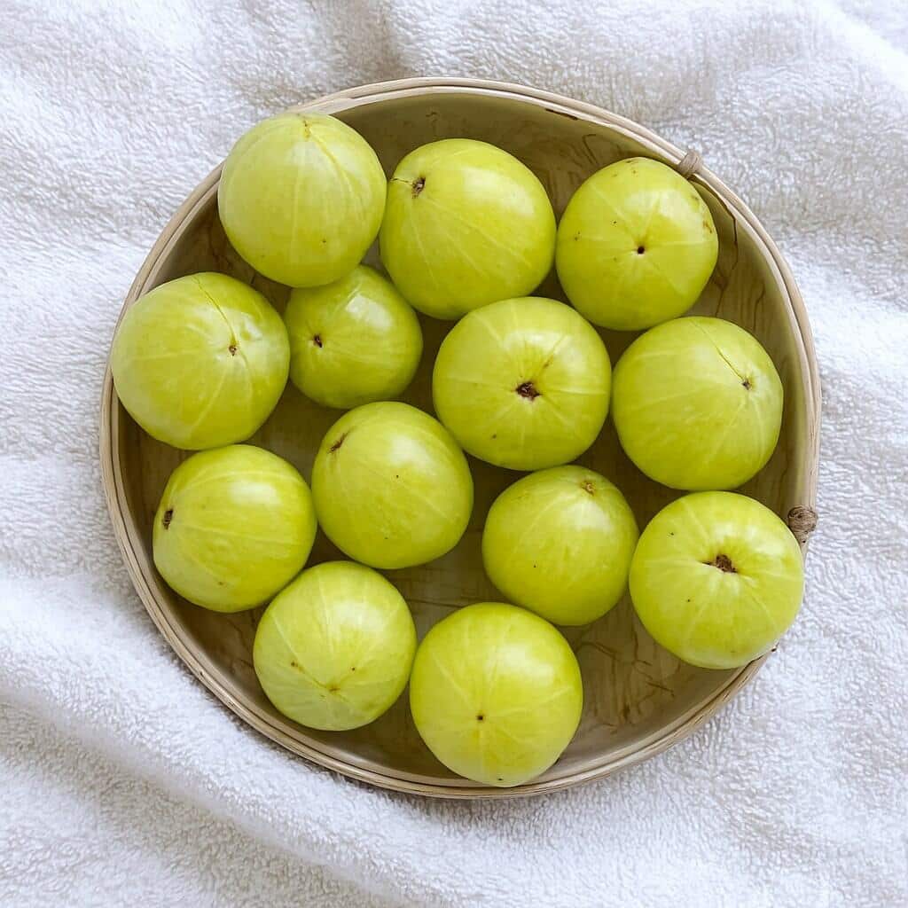 indian-gooseberry-benefits-storage