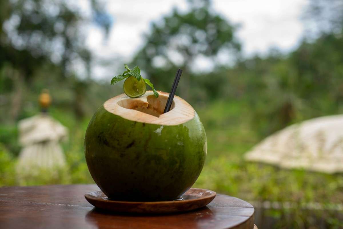 Coconut water in a glass